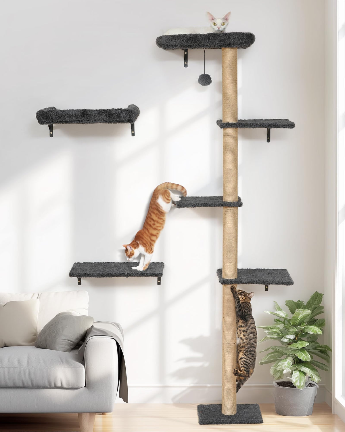FUKUMARU estanterias-pared-gato-durables para juego y descanso seguros.