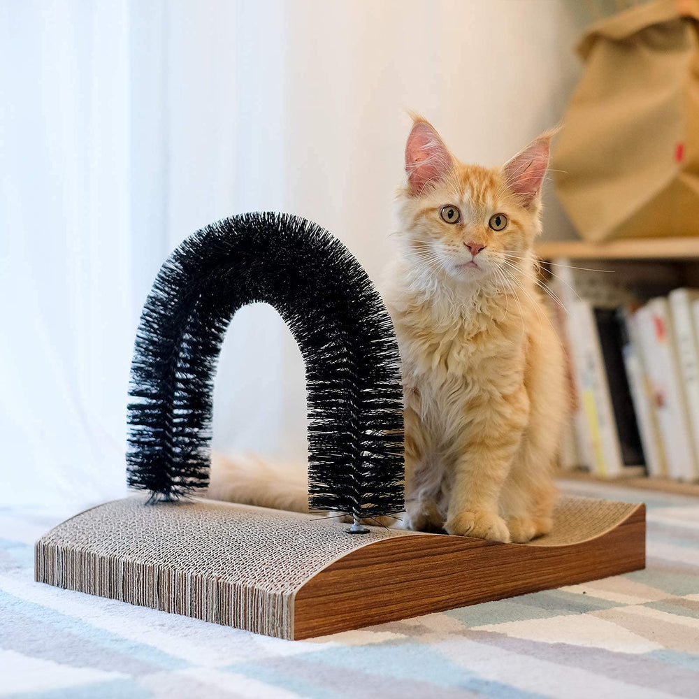 Gato FUKUMARU, uso-para-todas-las-edades ideal para gatitos y gatos