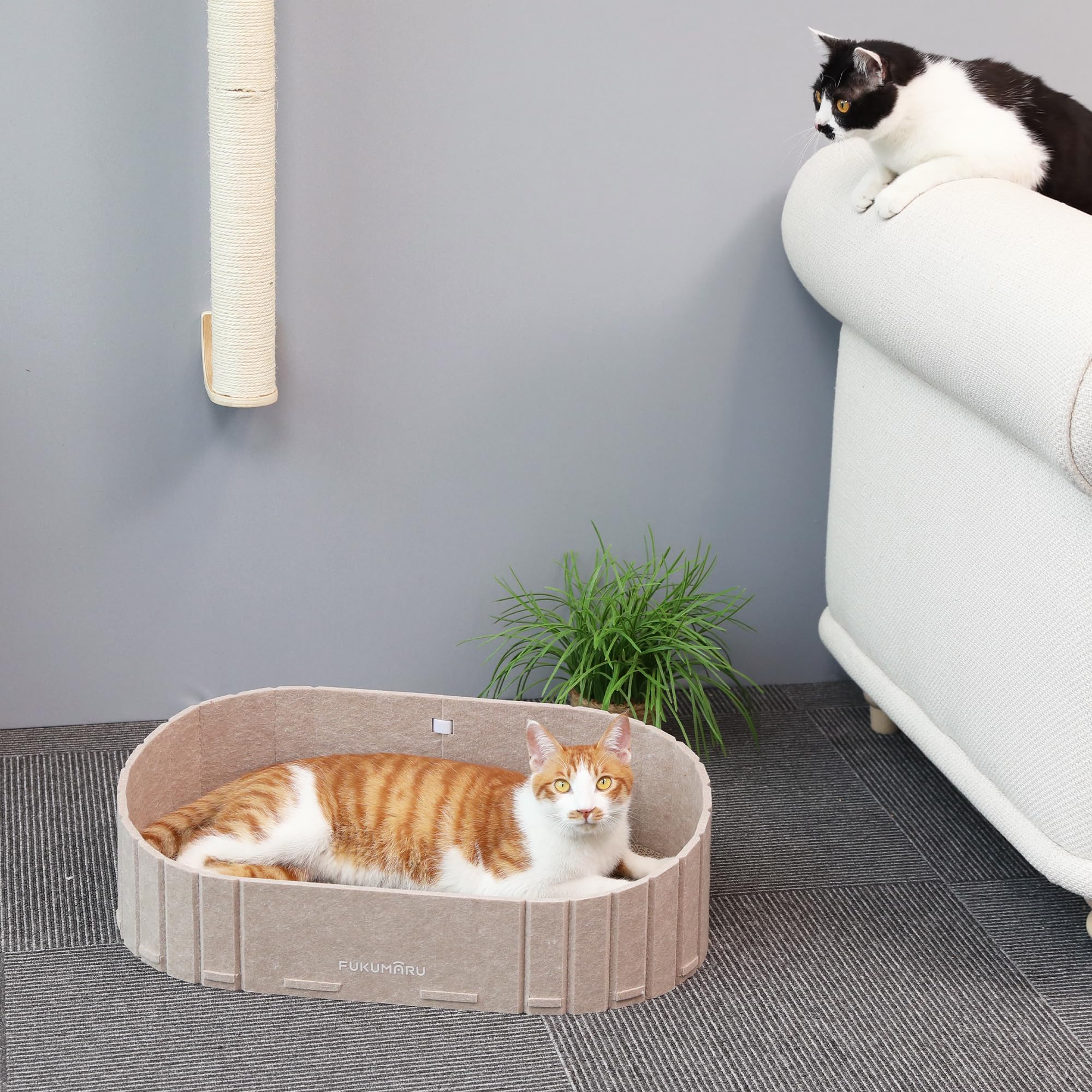 FUKUMARU rascador-gato uso-interior, perfecto para rincones de sala.