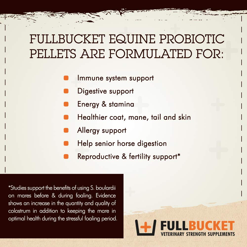 FullBucket probióticas equinas caballo comiendo, apoyo digestivo suave.
