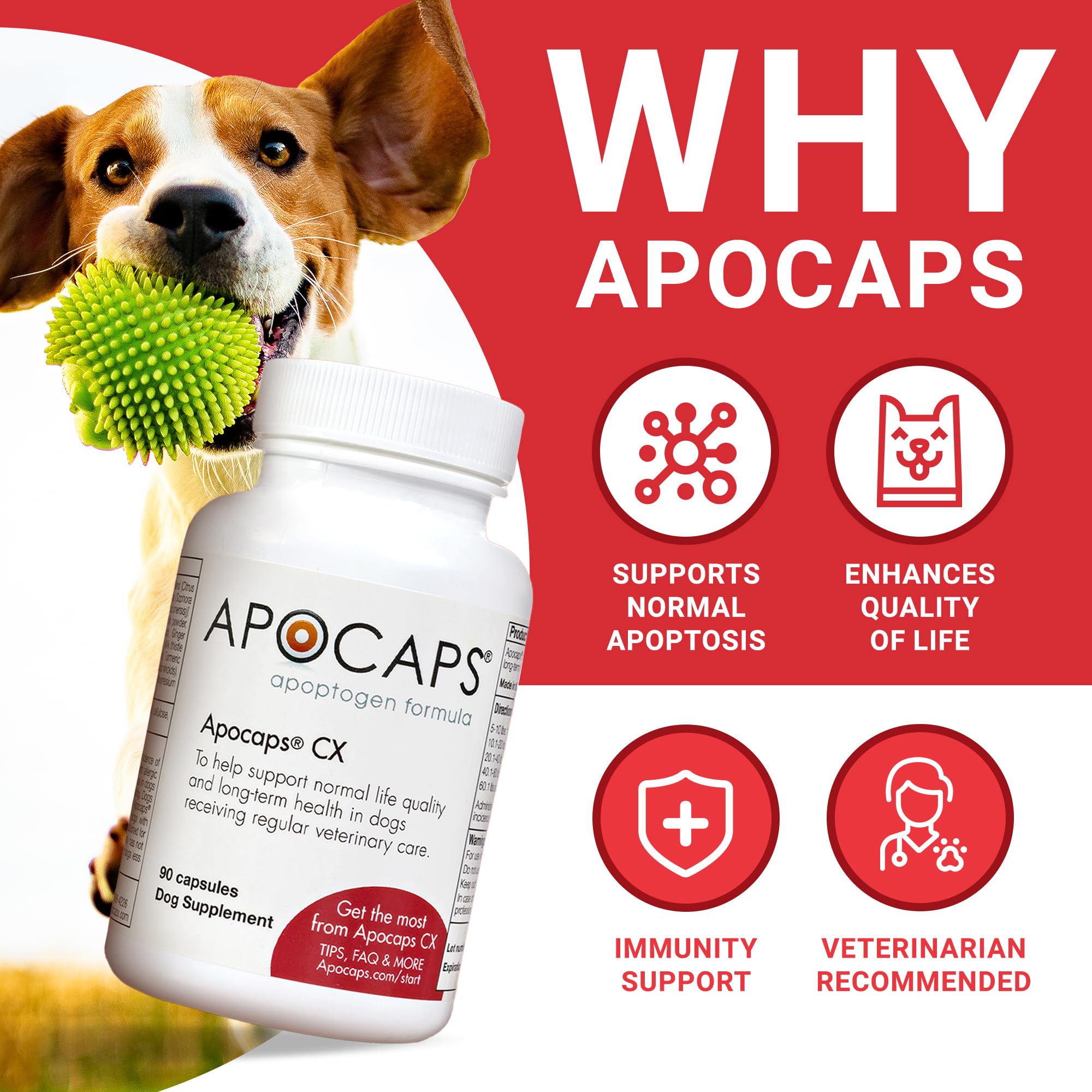 Etiqueta de Apocaps CX de Functional Nutriments para perros, información clara sobre ingredientes.
