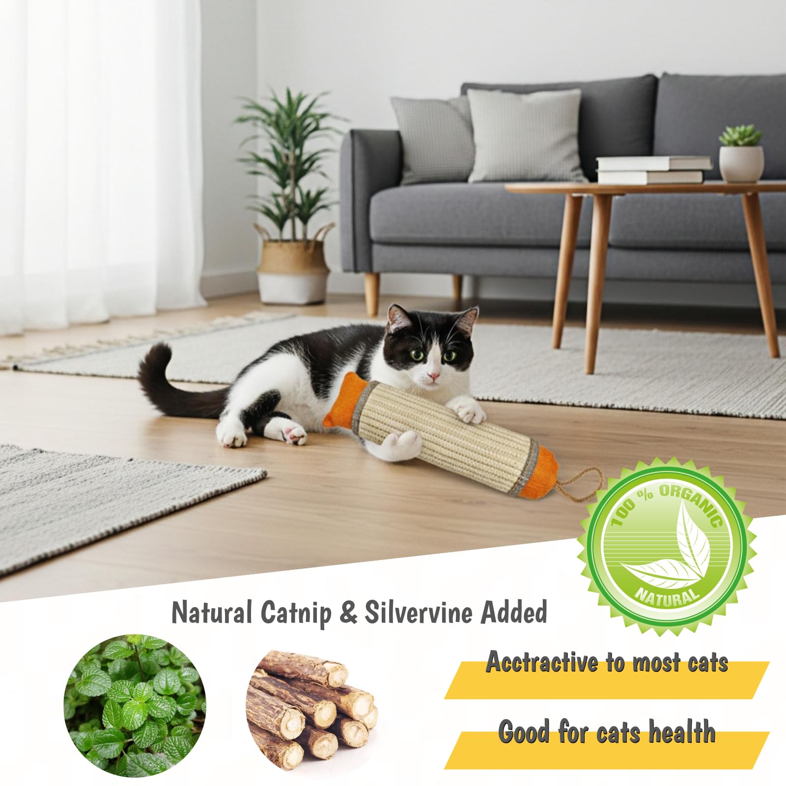 Poste rascador de sisal 10 pulgadas FuneeTop para gatos en interiores