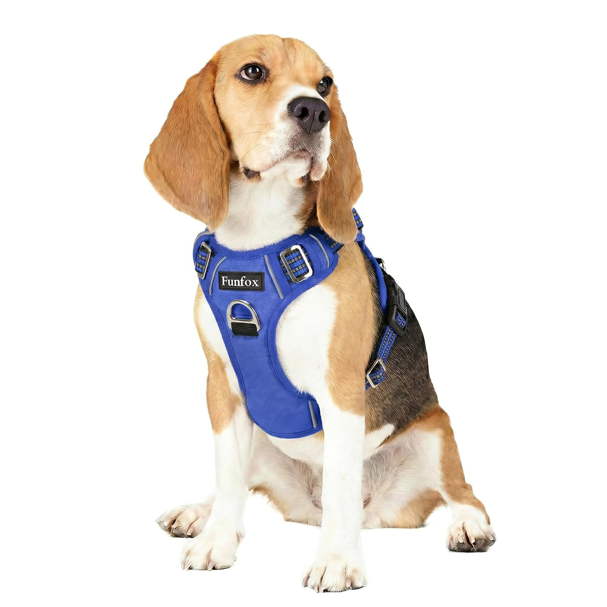 Funfox arnés para perros sin tirones en espalda, paseos más controlados.