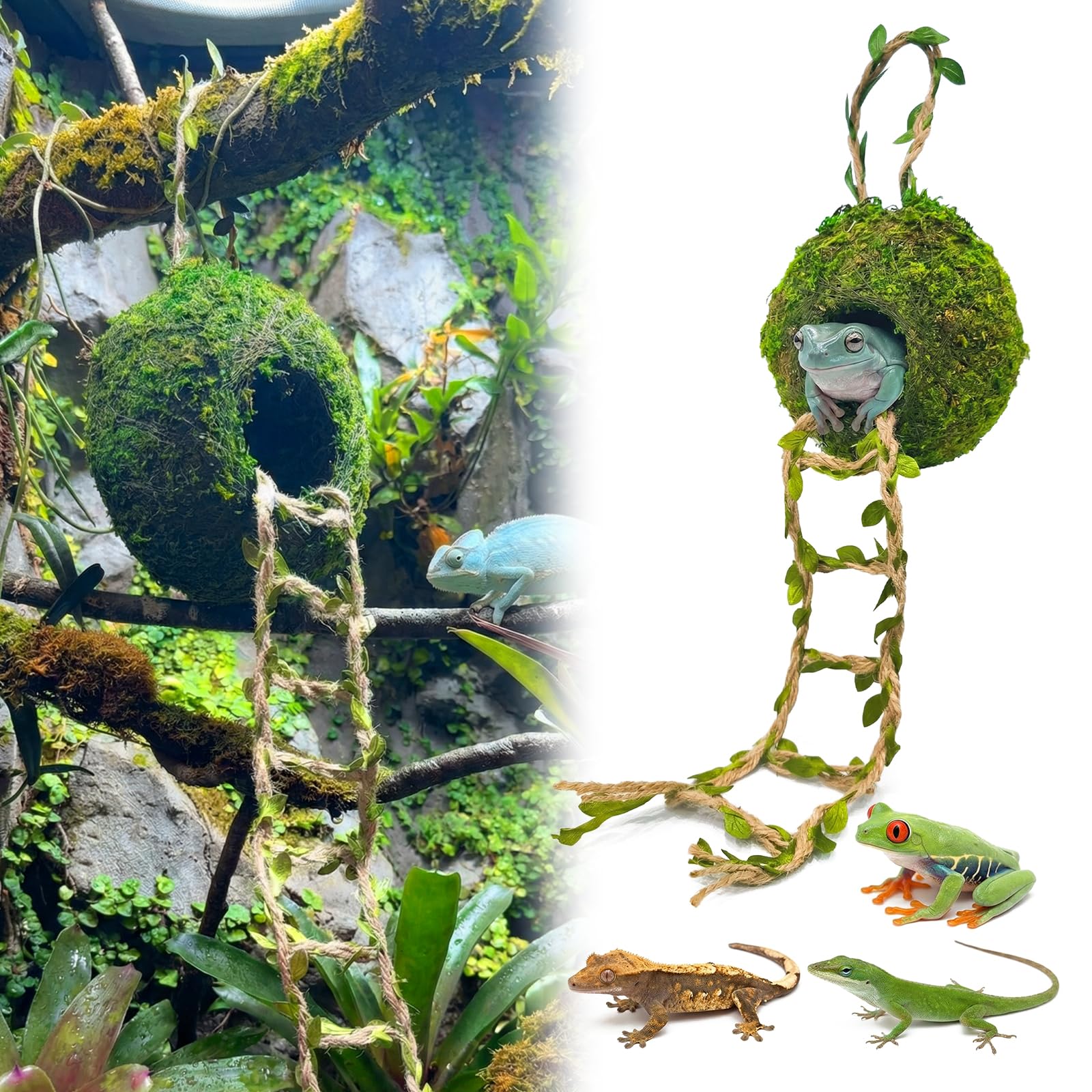 Funtinshdy cueva de musgo colgante ofrece refugio cómodo para geckos arbóreos.