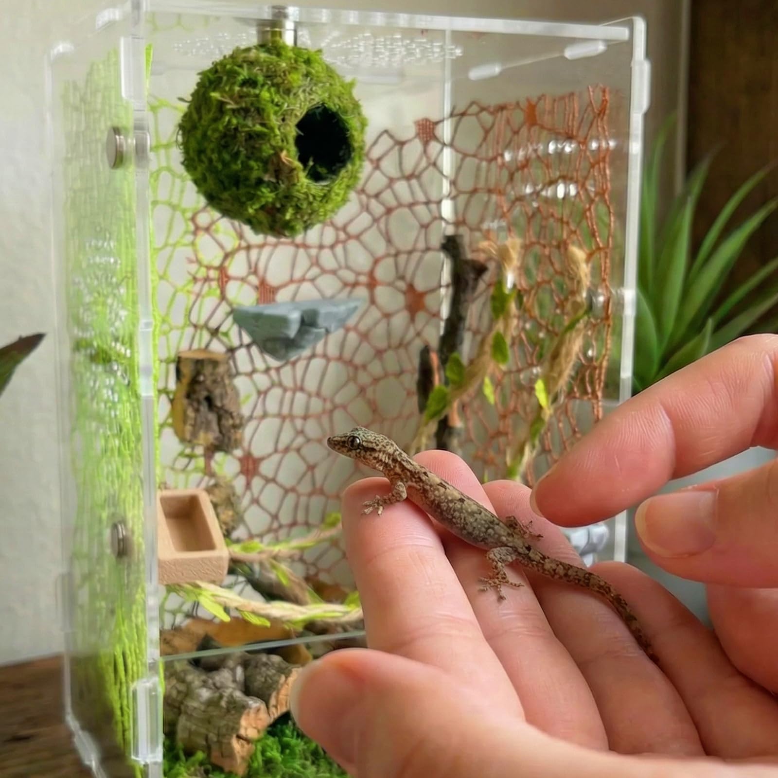 Funtinshdy ideas de distribución: opciones rápidas para decorar y reorganizar.
