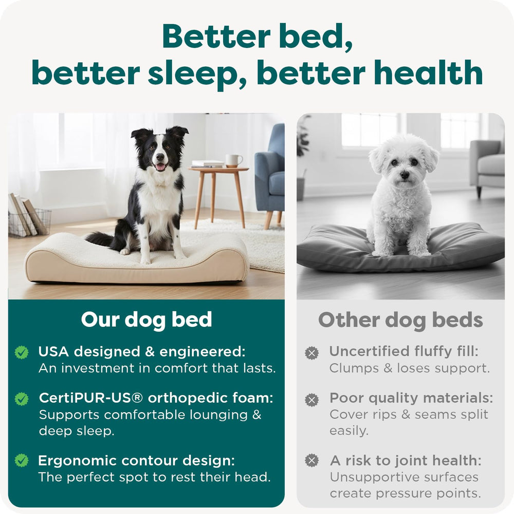 Base antideslizante FurHaven mantiene la cama estable en cualquier suelo.