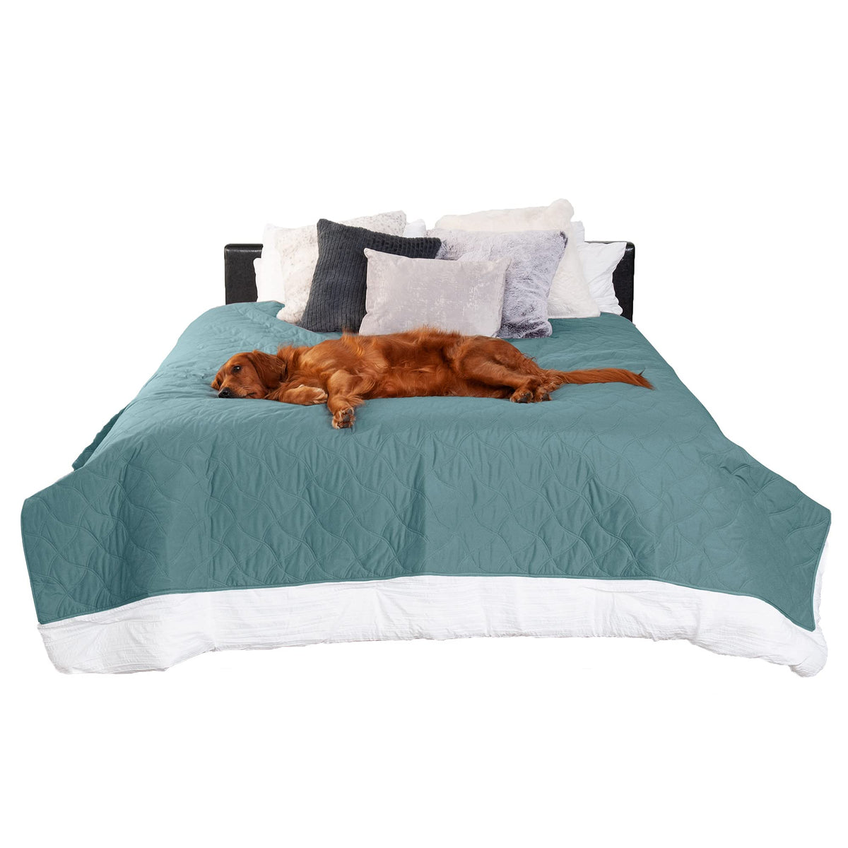 Protector impermeable Furhaven para cama tamaño gemelo en Azul Nilo protege derrames y manchas.
