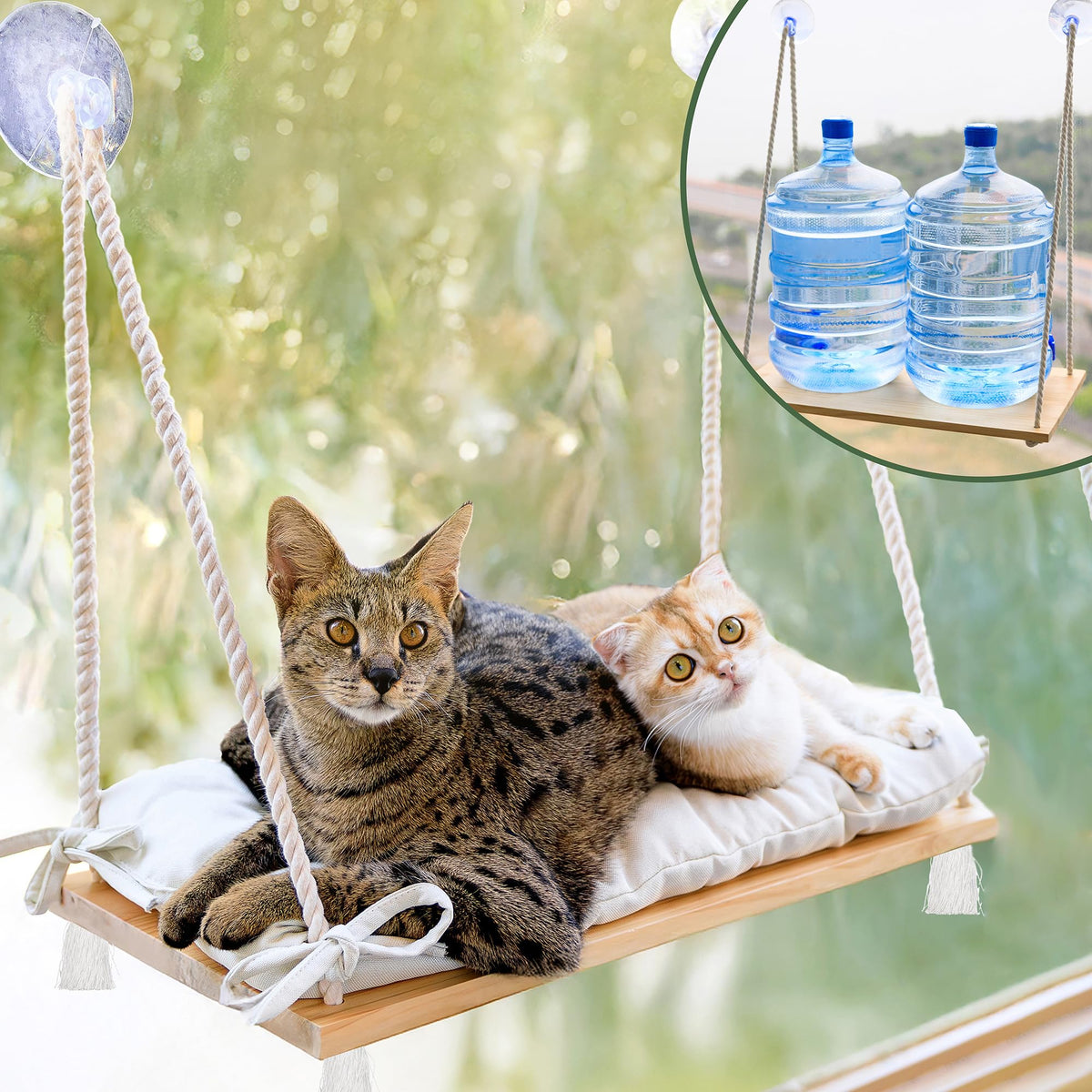 Percha de ventana Furrfinity para gatos grandes en pino: elevación y observación.