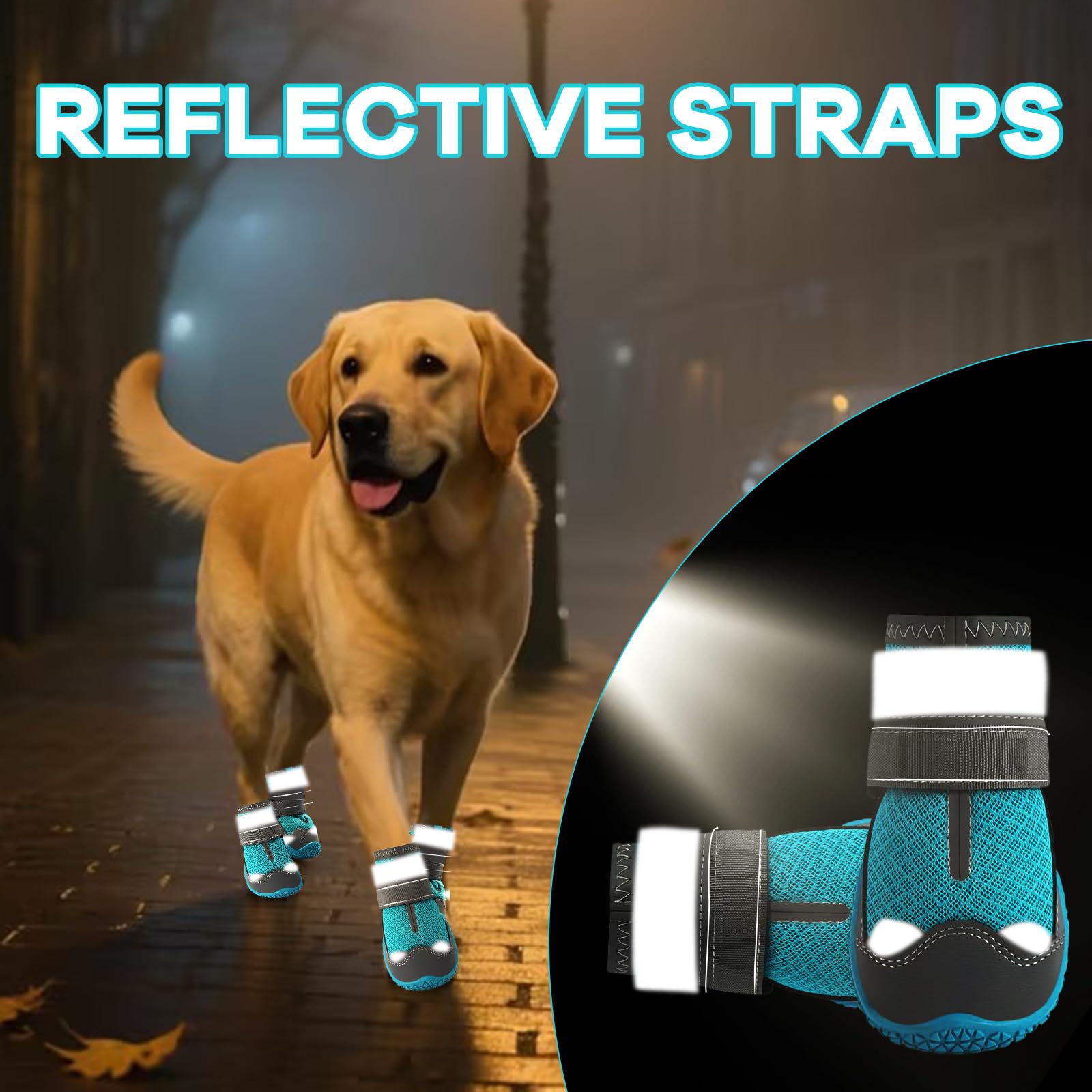 Protección de verano con Furrtripsy, ideal para pavimentos recalentados.