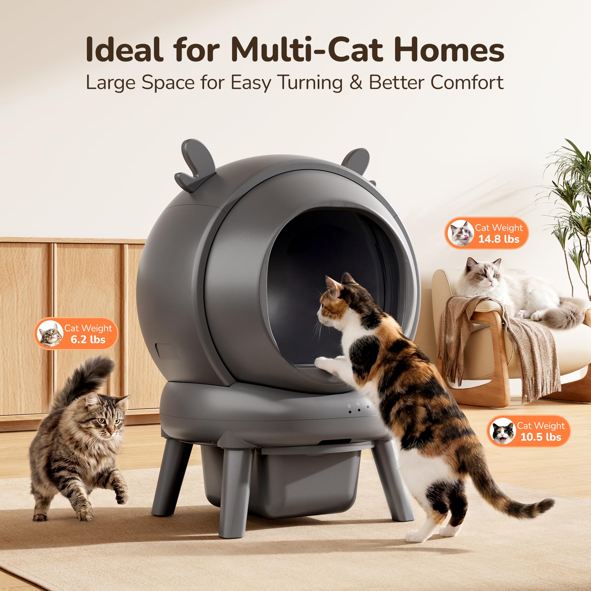 Furrykiddy ahorro del 30% en arena para gatos al usar la caja automática.