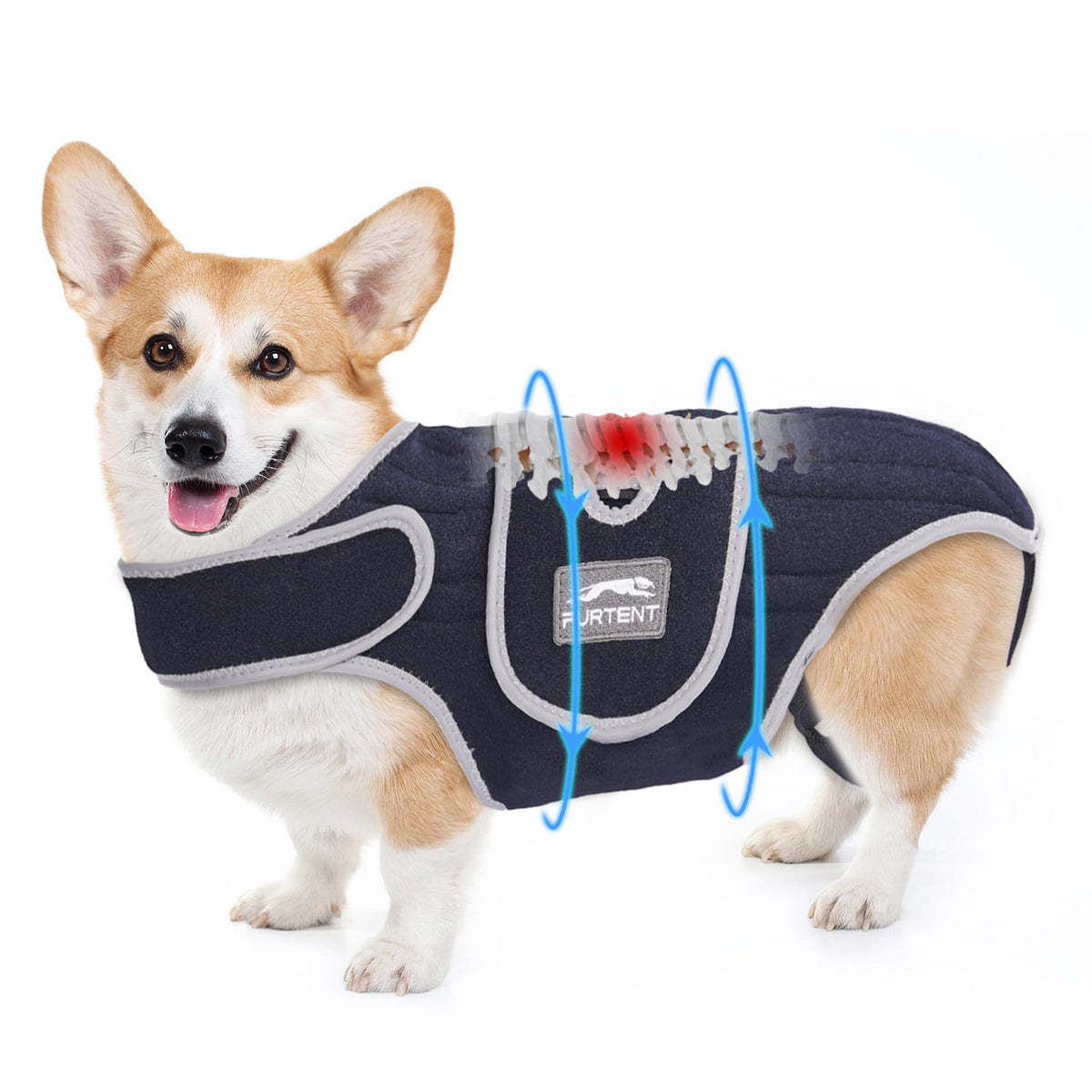 Furtent Faja para perros con seis tiras, soporte estable de espalda.