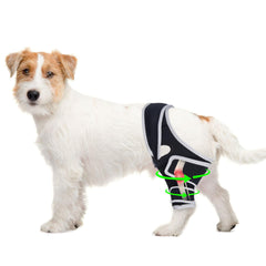 Furtent rodilla para perro ACL frontal, soporte estable para movilidad.