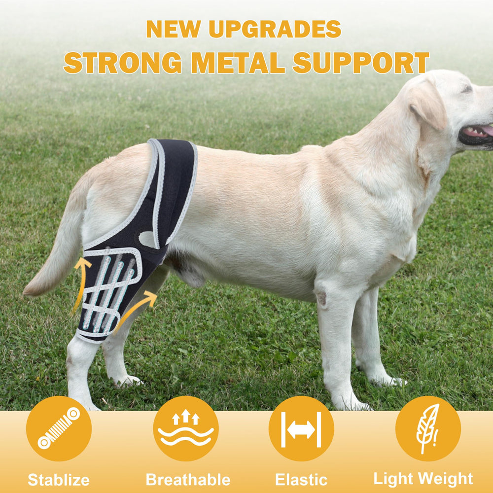 Furtent rodilla para perro ACL trasera, estabilidad diaria.