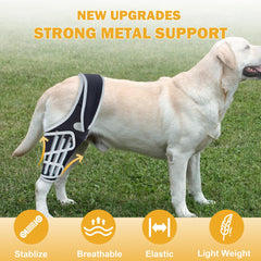 Furtent rodilla para perro ACL trasera, estabilidad diaria.