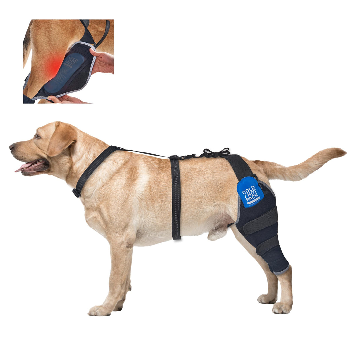 Furtent Rodillera para perros en primer plano con ajuste cómodo para movilidad diaria.