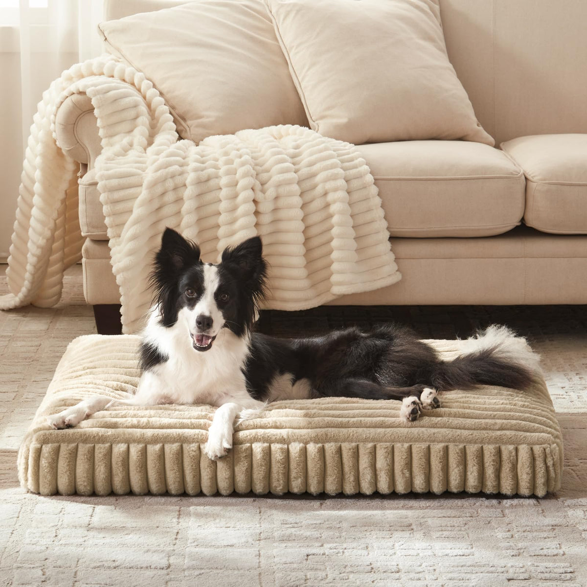 Cama para perro FURTIME con funda lavable, ideal para limpieza rápida