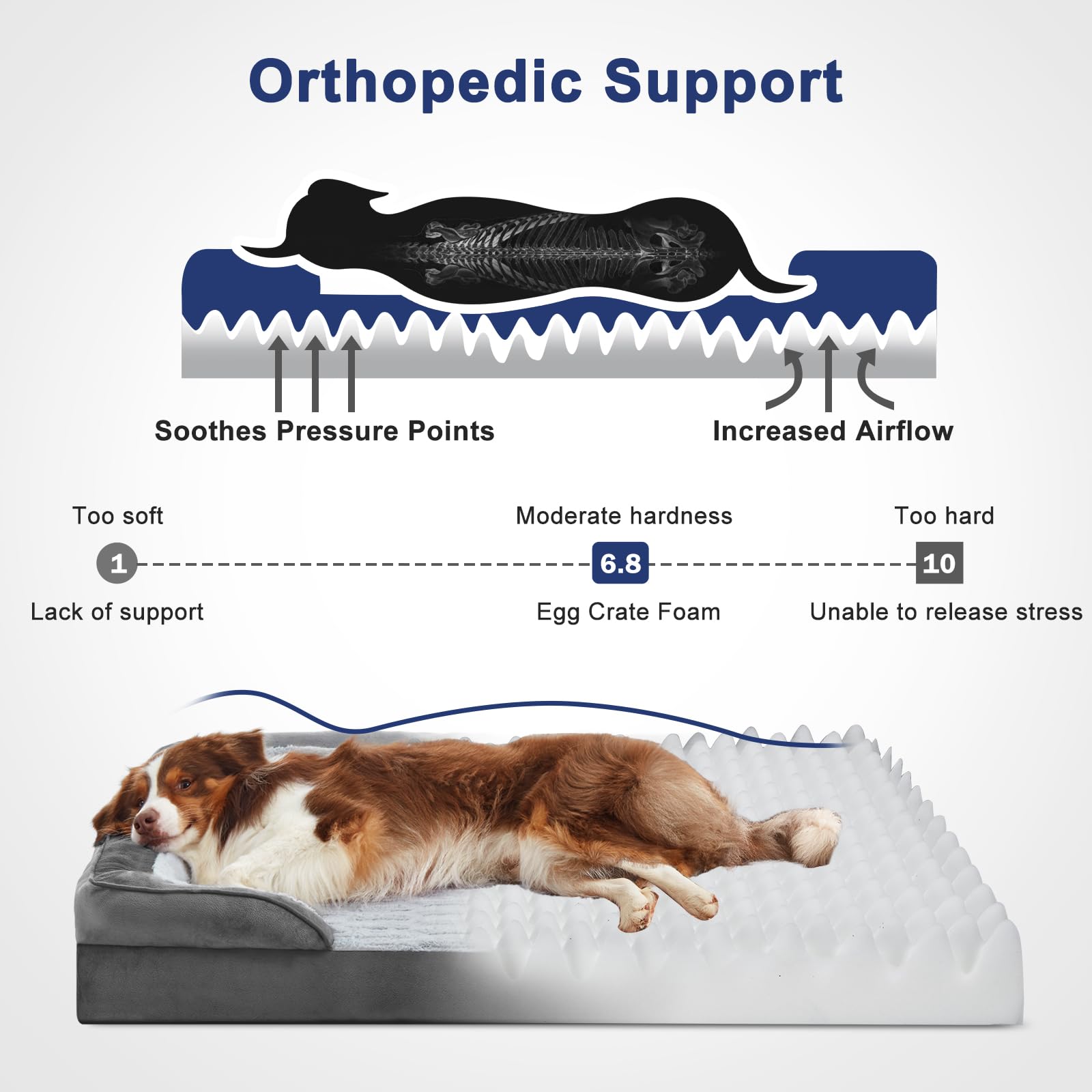 Espuma de alta densidad en la cama FURTIME para distribución del peso.