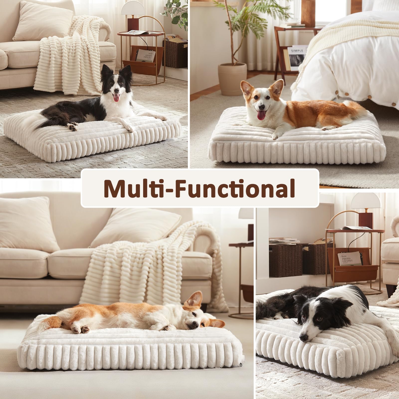 Tallas disponibles de Furtime para perros pequeños a grandes.