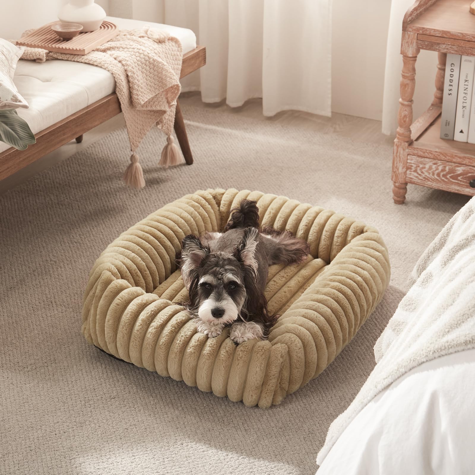 FURTIME uso-diario-cama-perro: ideal para rutinas diarias.