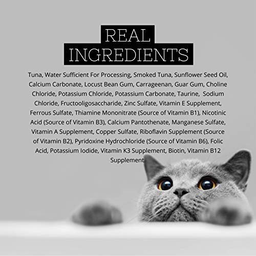 Fussie Cat: controles de calidad internacionales para tranquilidad del dueño.