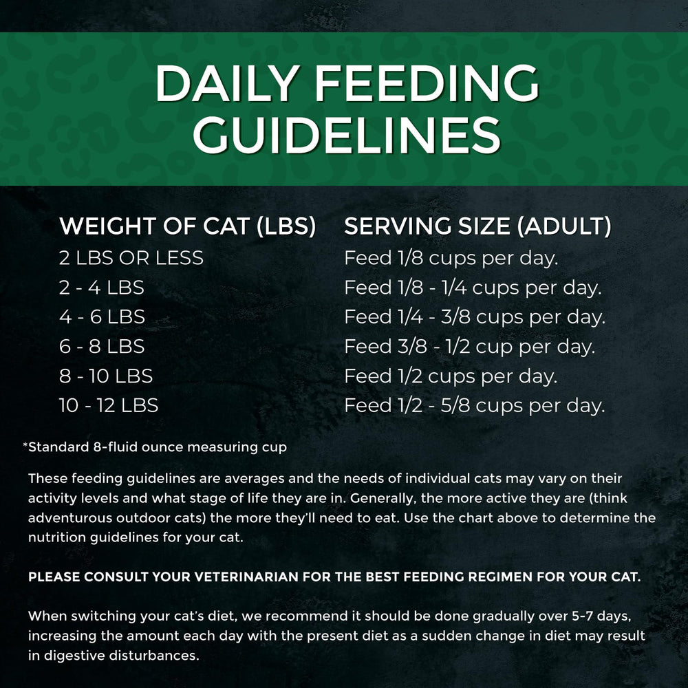 Presentación ordenada de la comida para gatos, opción conveniente para dueños ocupados.