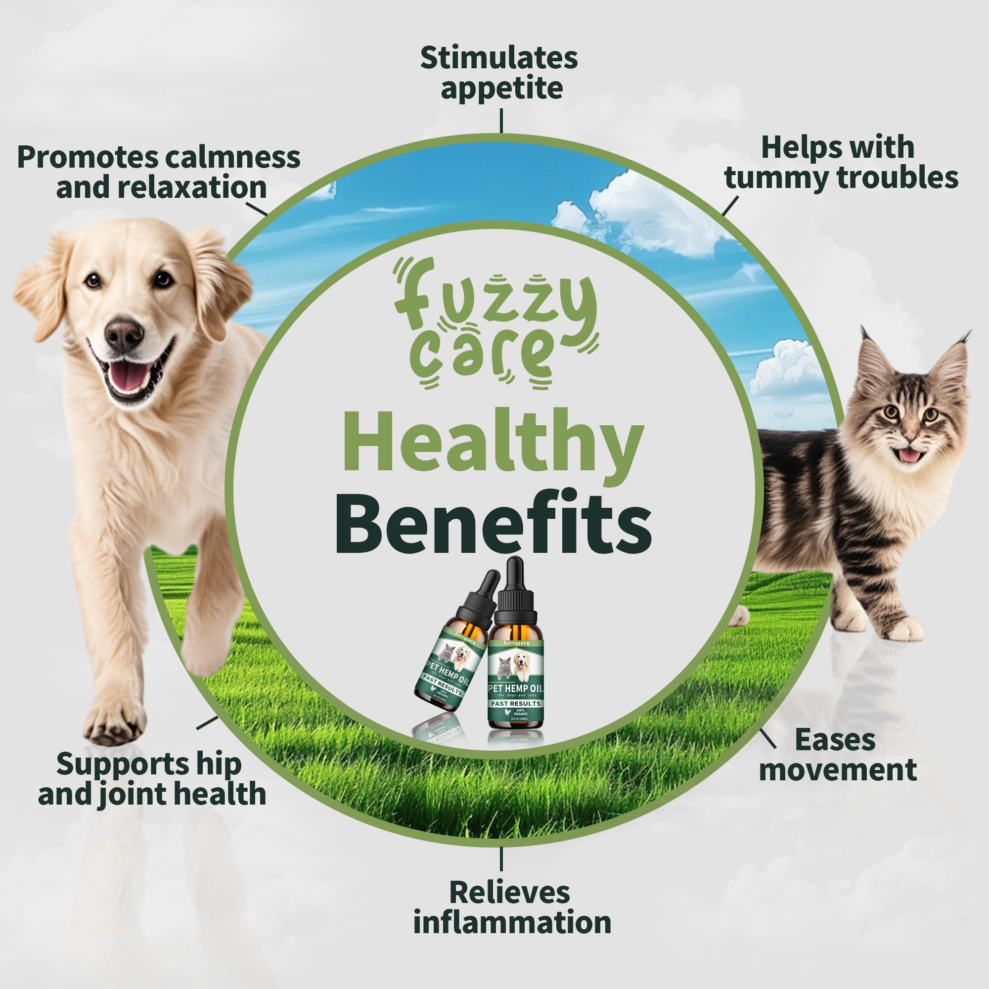 Fuzzycare Aceite de Cáñamo – dosis diaria para apoyar movilidad y bienestar.