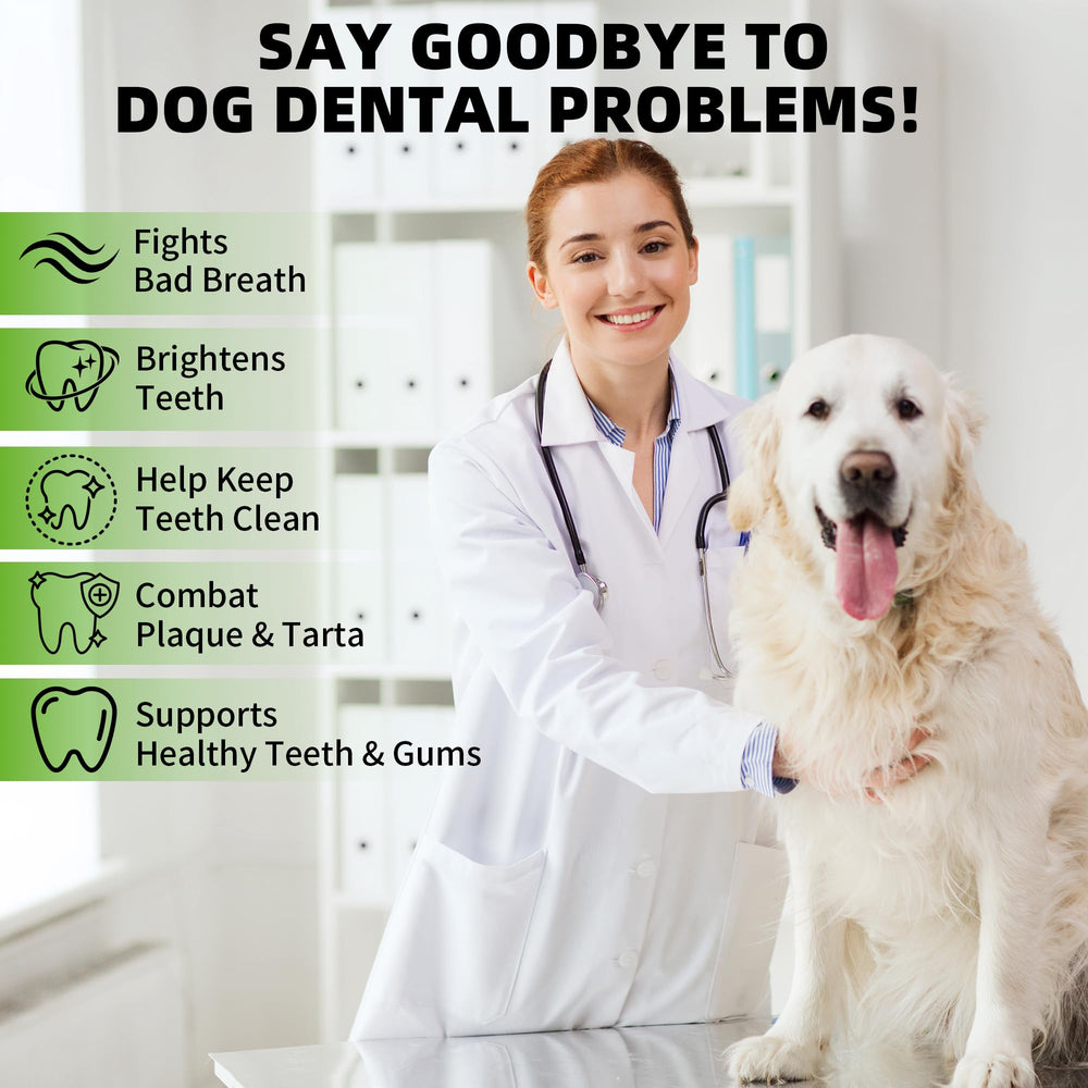 Fuzzycare polvo dental para perros, aplicación fácil sobre alimento.