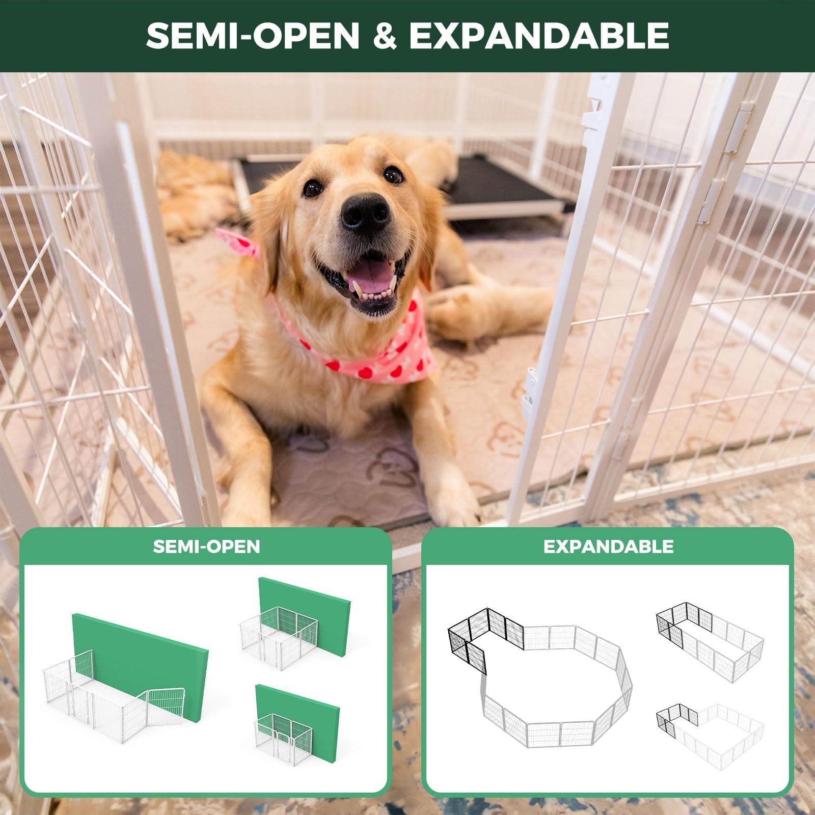 FXW Homeplus Unleashed: ideal para cachorros y perros pequeños en interiores.