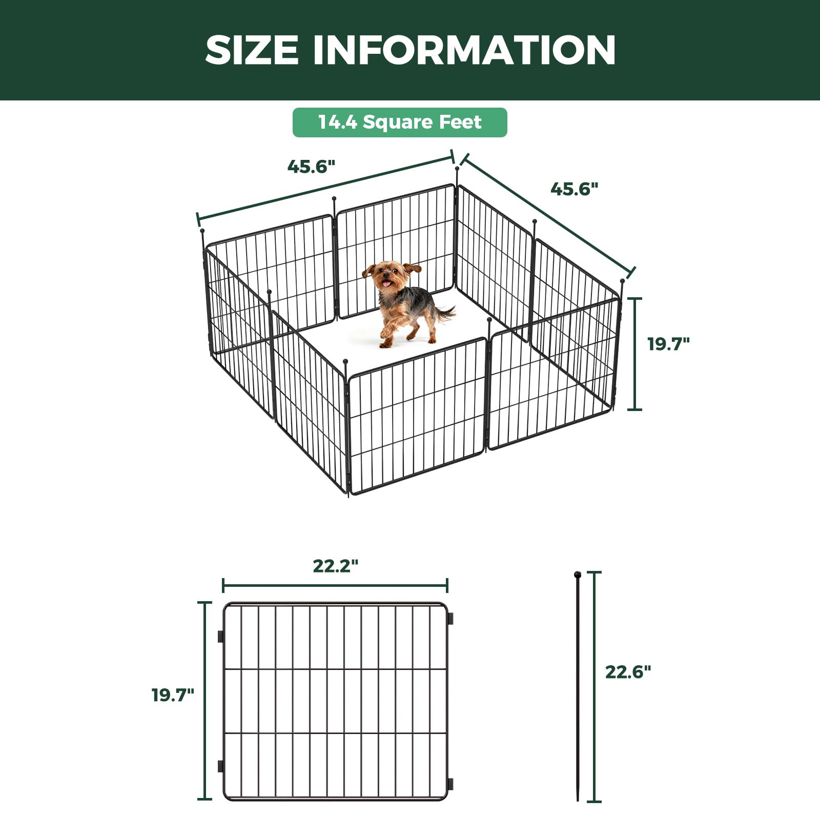 FXW MiniPaws para perros pequeños en casa o viaje.