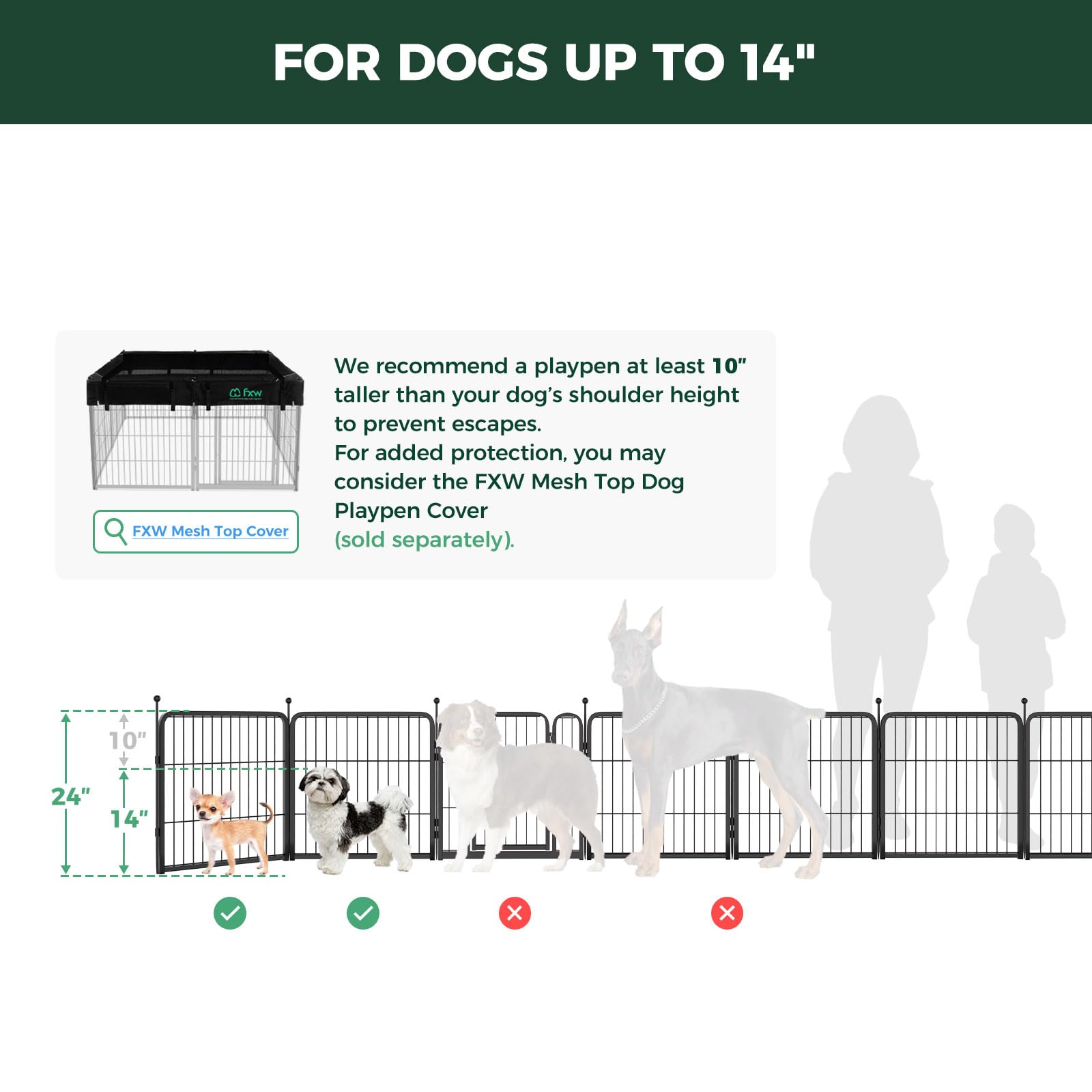 FXW Rollick uso multiescenarios para perros activos y curiosos