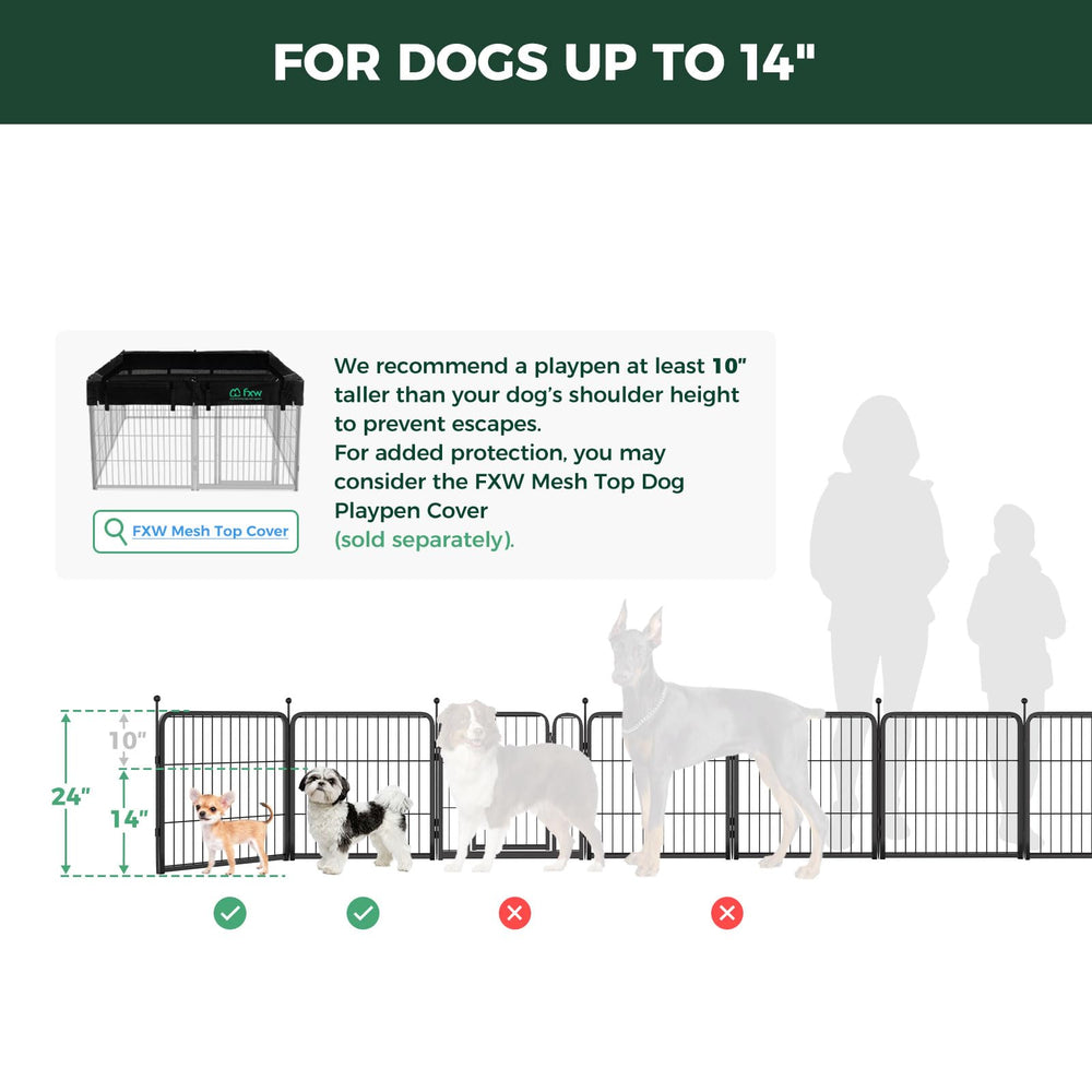 FXW Rollick uso multiescenarios para perros activos y curiosos