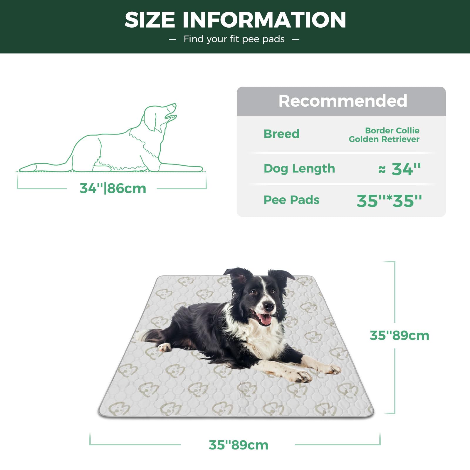 FXW Tapete impermeable para perros con TPU, protege suelos y muebles
