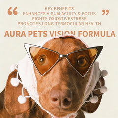 Aura Pets aplicación sublingual facilita la dosificación diaria.