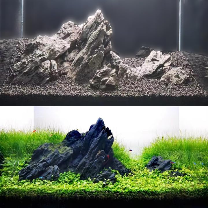 FZONE Resin Seiryu: textura gris profunda en agua, realza contraste visual sin complicaciones.