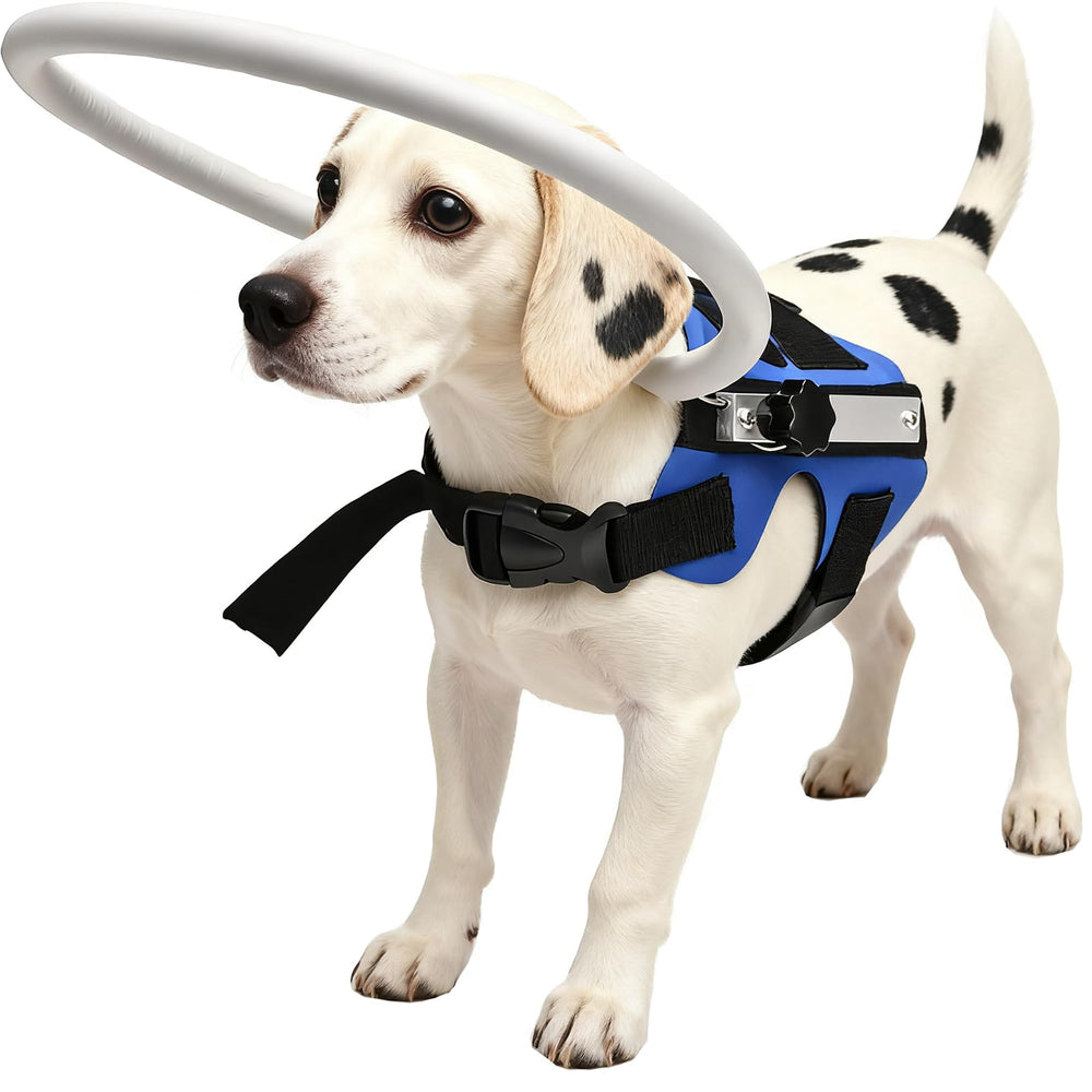 GabeFish Anillo guia ligero azul pequeno para perros y gatos, mejora la movilidad.