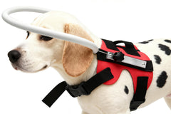 GabeFish Anillo guía ligero para perros y gatos, facilita caminar con seguridad