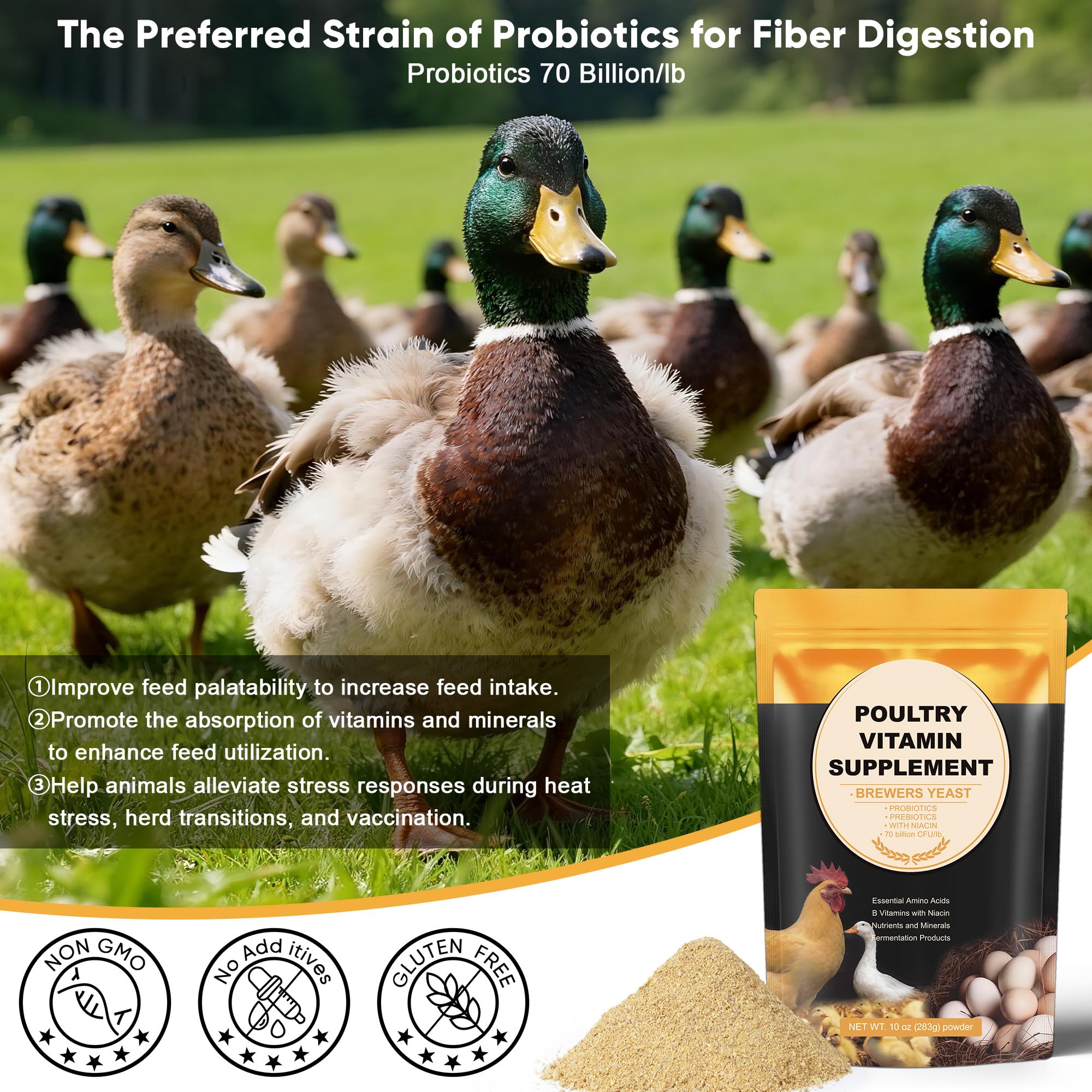 GAIAKINGCO soporte para pollitos jóvenes, crecimiento saludable