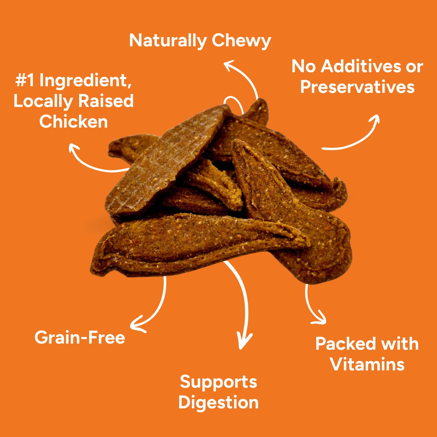 Gaines Family Farmstead Fillets – sans céréales, idéale pour chiens sensibles et portions adaptées.