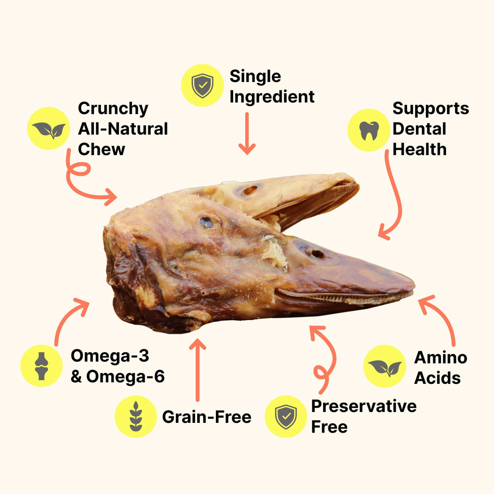 Gaines Family Farmstead Ingrediente único: pato sin aditivos para digestión suave