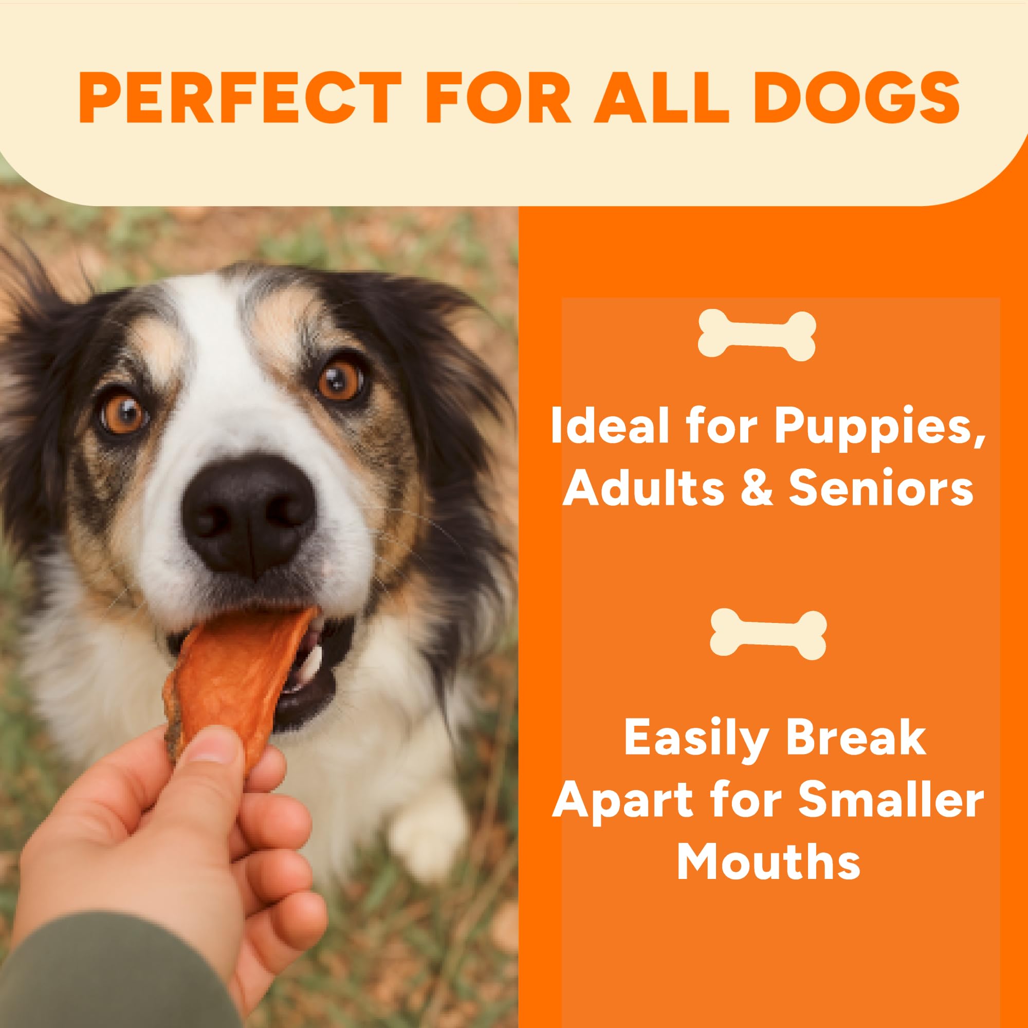 Gaines Family Farmstead Sweet Potato Chews perro masticando, masticación prolongada