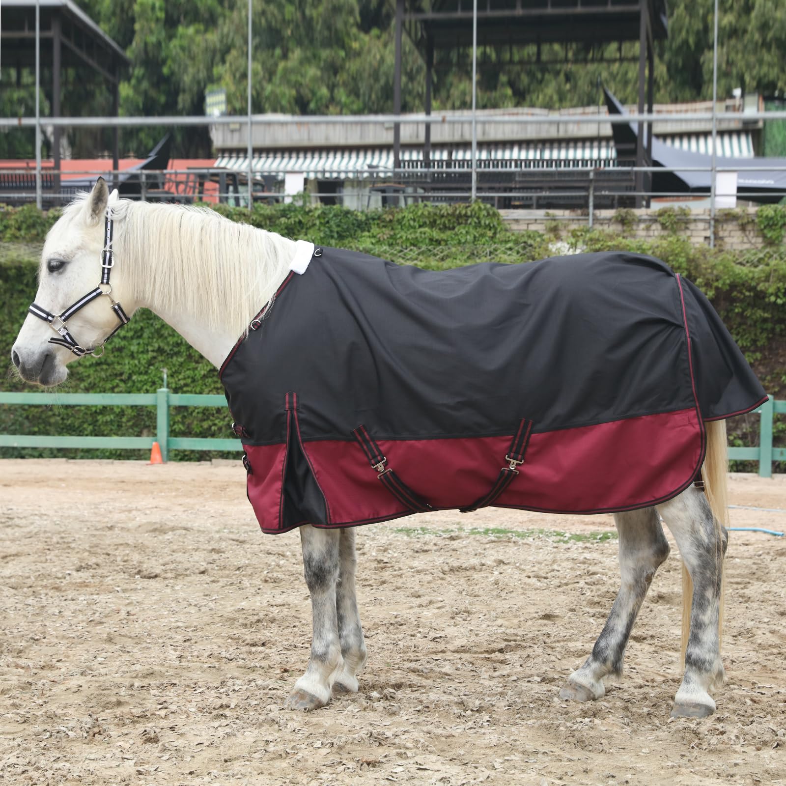 Anillas en el cuello Gallopoff para accesorios compatibles