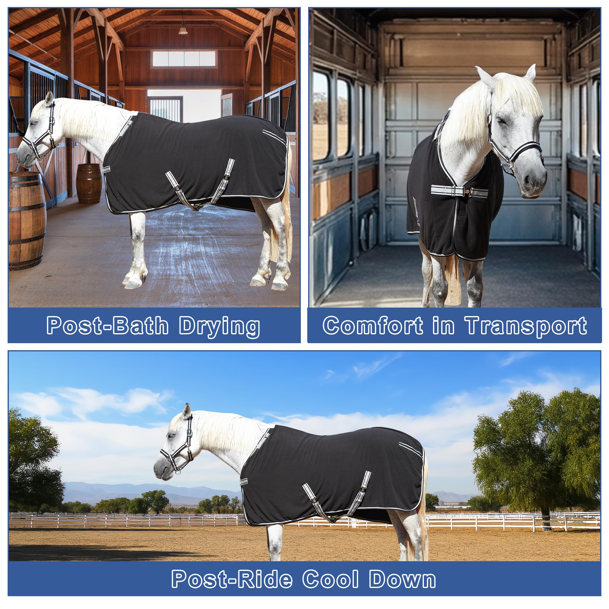 Gallopoff diseño talla amplia para caballos de 13-17 manos (hh).