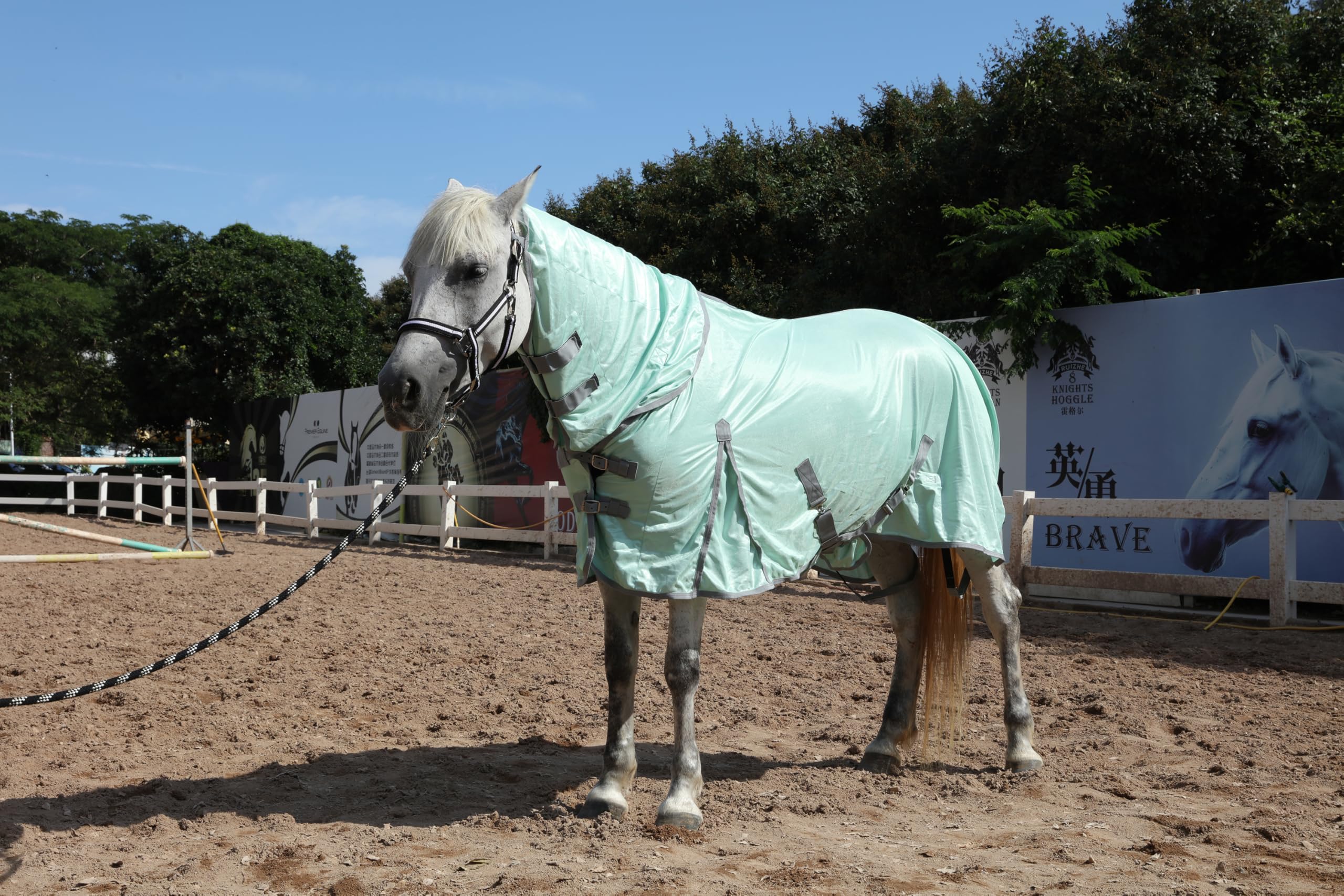 Gallopoff flujo de aire mejora la comodidad del caballo