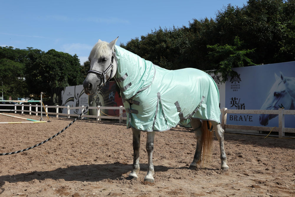 Gallopoff flujo de aire mejora la comodidad del caballo