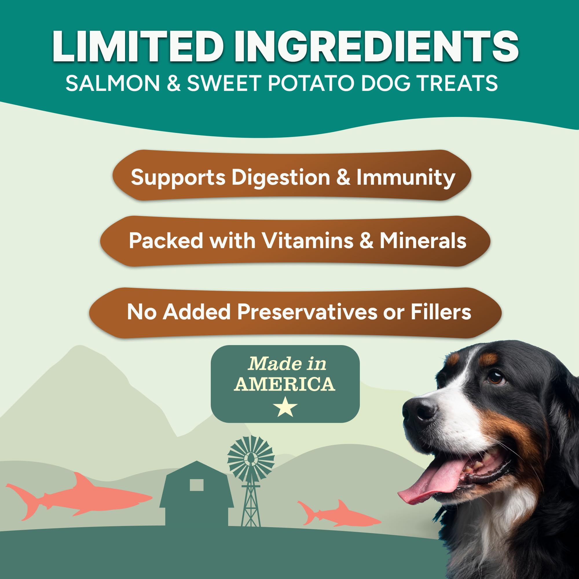 Gaines Family Farmstead filetes salmon patata dulce para perros, fuente de proteína limpia.