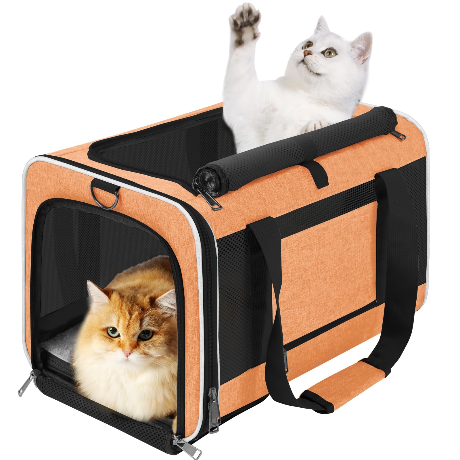 GAPZER bolsa de transporte para gato grande con entrada superior para facilitar la carga