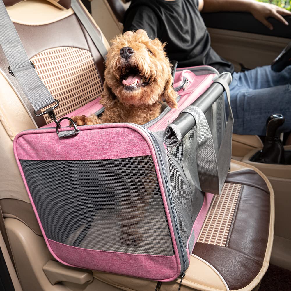 GAPZER Carrier: apto para mascotas de hasta 9 kg para viajes variados.