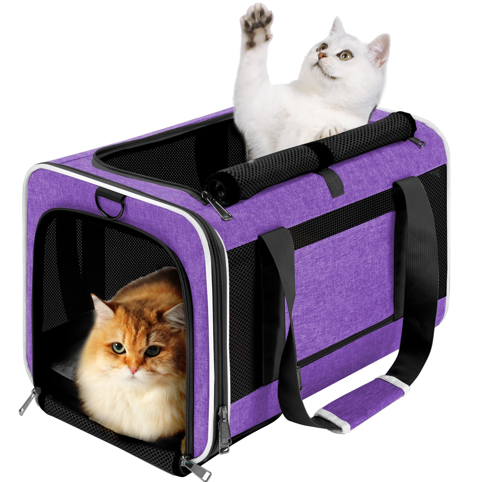 GAPZER transportín para gato grande 20 libras con tela Oxford resistente para viajes
