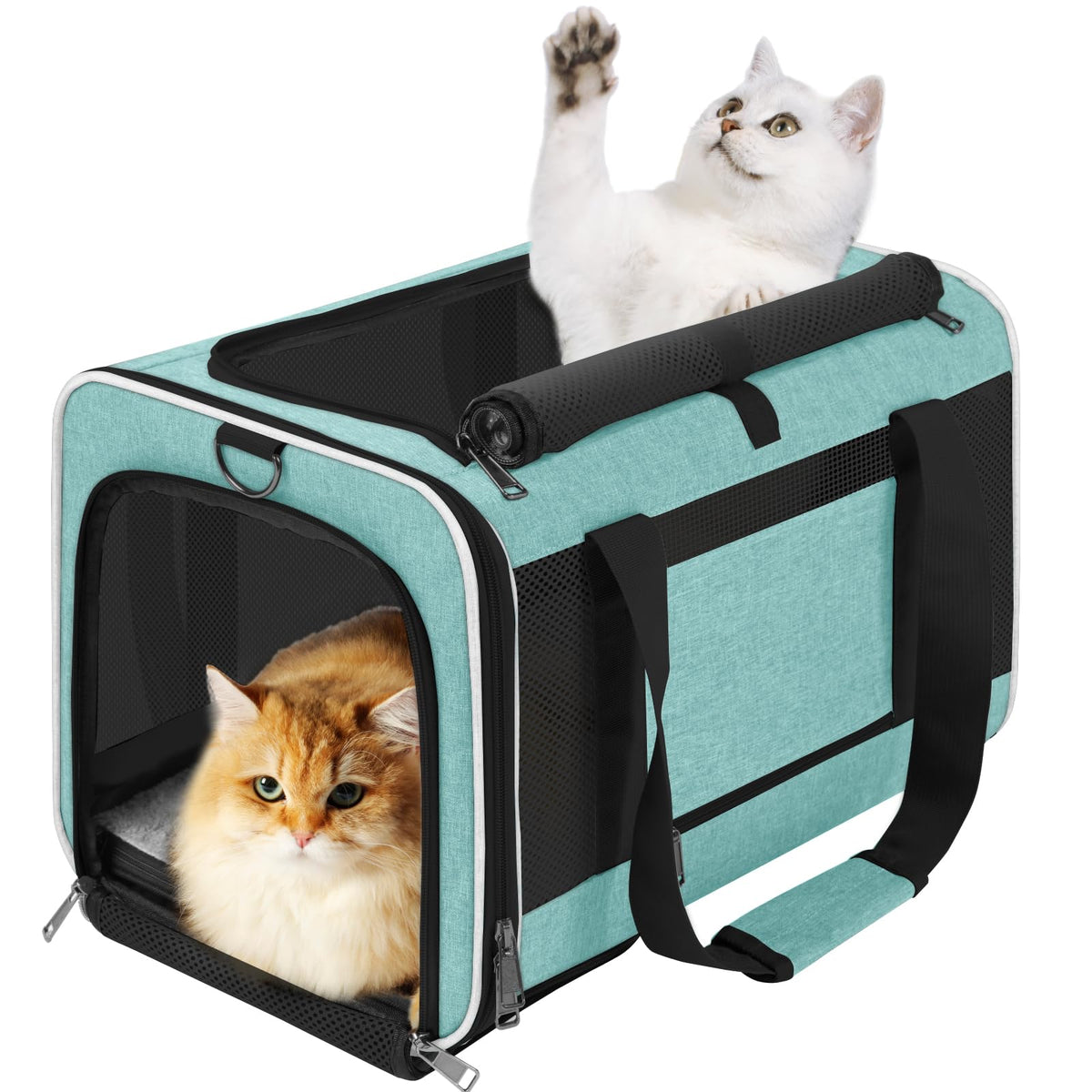 GAPZER transportín gato Teal Aqua, vista frontal para viaje cómodo