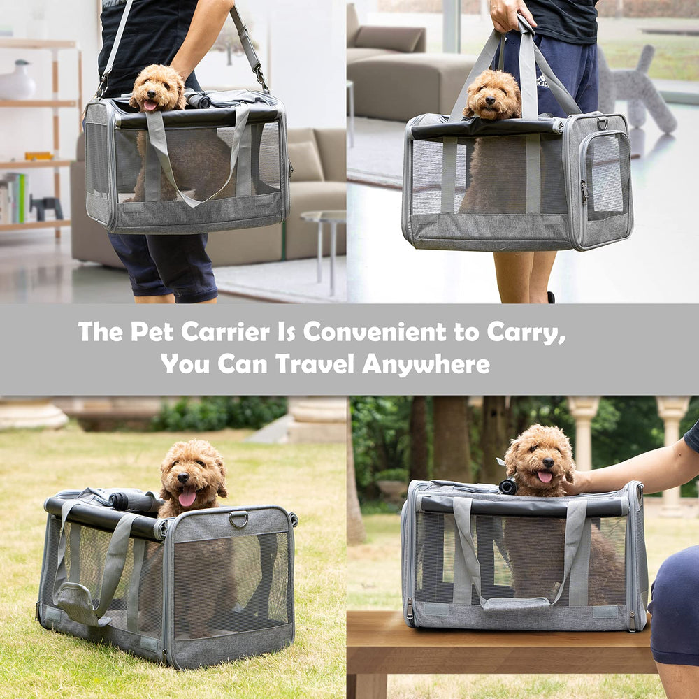 GAPZER transportín con entrada superior y lateral para accesos prácticos